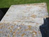 image of grave number 891098